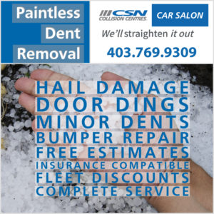 Paintless Dent Removal Paintless Dent Removal